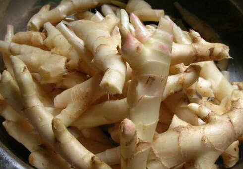 ���ͽ���ʲô-���ͽ�������