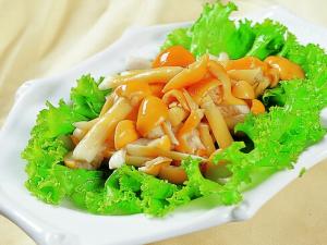 滑子菇豆腐羹的做法-滑子菇的營養價值