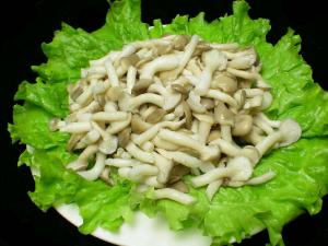 姬菇的營養價值-姬菇的做法