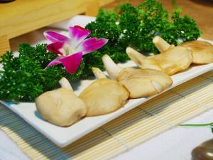 鮑魚菇的做法-鮑魚菇的營養價值