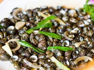 芝麻螺怎么做？芝麻螺的做法-芝麻螺的簡介