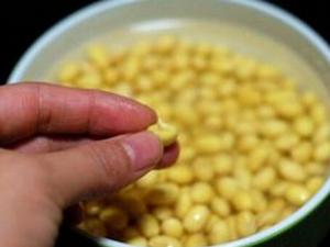 發(fā)芽豆還可以用嗎?發(fā)芽豆打豆?jié){更鮮美