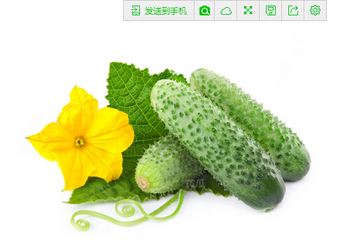 �Ǵ��S��Ƭ������-���S�Ͽ������