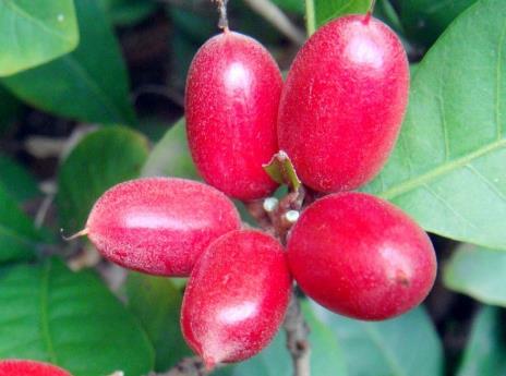 ���ع���ô�ԣ����ع�������