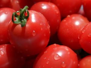 西紅柿怎么做好吃?西紅柿的做法大全