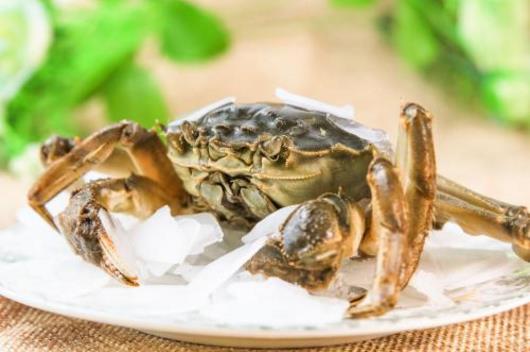 螃蟹可冰箱冷藏保存-干鍋香辣蟹的做法