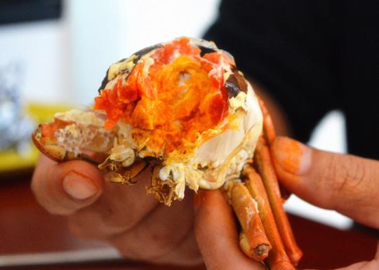 蒸大閘蟹鍋蓋有個縫隙可以嗎?蒸大閘蟹有什么技巧嗎?