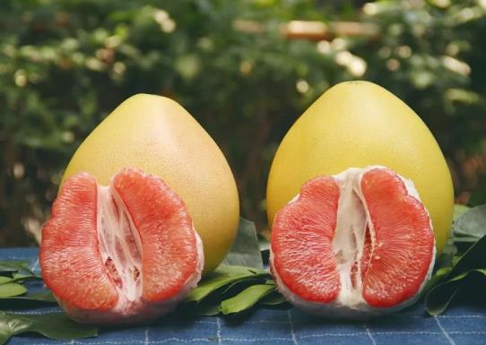 柚子煮粥會不會流失營養成分?怎么用柚子煮粥?