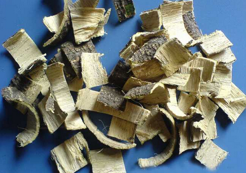 �ϚgƤ�Ĺ�Ч�c����-�ϚgƤ�Ľ�B