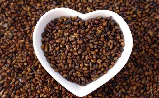 決明子的作用有哪些?決明子怎么吃最好