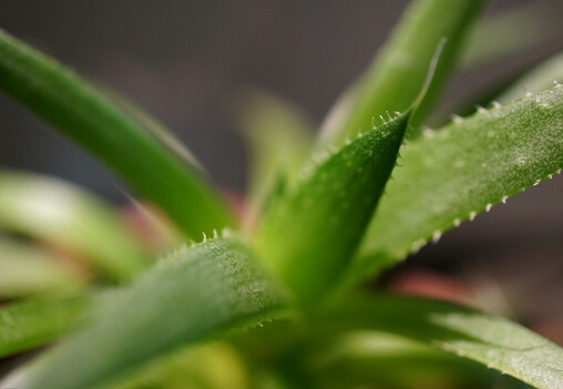 �J�C�z�Ĺ�Ч�c����-�ЋD�����J�C�z�᣿