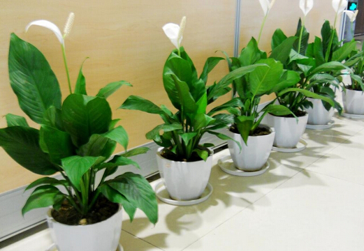 �������ЋD���Bһ���L혻��᣿һ���L혻��ж��᣿