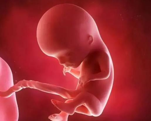 生男生女是在什么時間決定的?可以自己決定生男生女嗎?