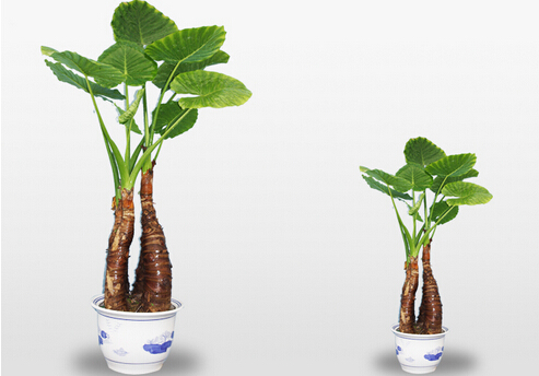 ��ˮ�^���ж����������Ќ������B(y��ng)��ˮ�^�����