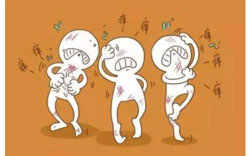 秋季蕁麻疹是怎么引起的 秋季蕁麻疹如何預防