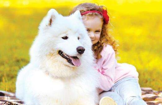 孩子被寵物咬傷怎么辦 怎樣讓孩子與寵物安全相處