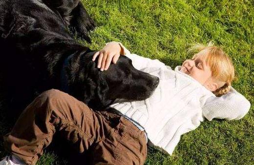 孩子被寵物咬傷怎么辦 怎樣讓孩子與寵物安全相處