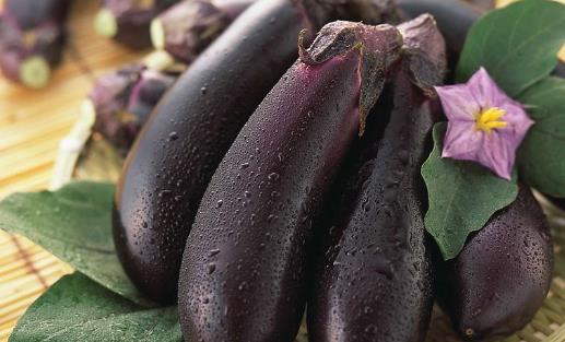 茄子結果時間是什么時候 茄子什么時間結果 如何管理