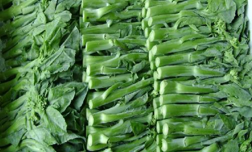 芥藍的生長周期分成哪幾個階段 芥藍有幾個生長周期