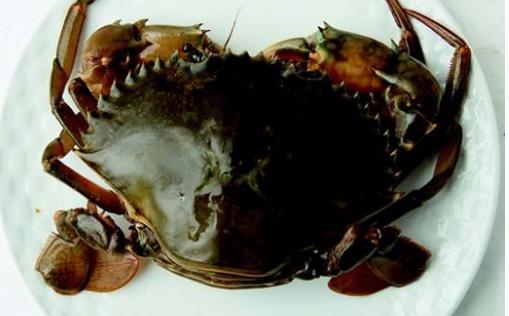 黃油蟹什么季節(jié)吃最好 黃油蟹幾月吃最好