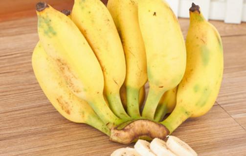 芭蕉是什么季節的水果 芭蕉成熟季節