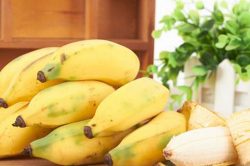 芭蕉是什么季節的水果 芭蕉成熟季節