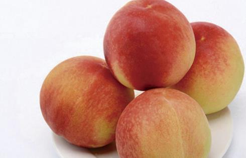 九仙桃什么時候成熟 九仙桃成熟季節(jié)