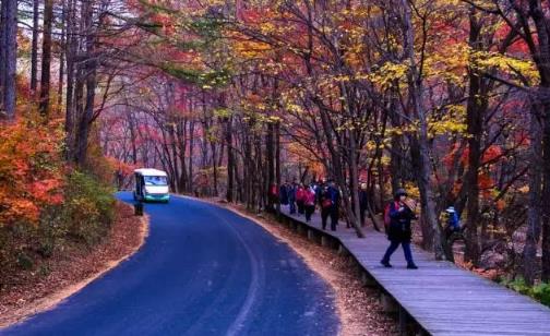 本溪關門山楓葉幾月紅 本溪關門山紅葉什么時候紅