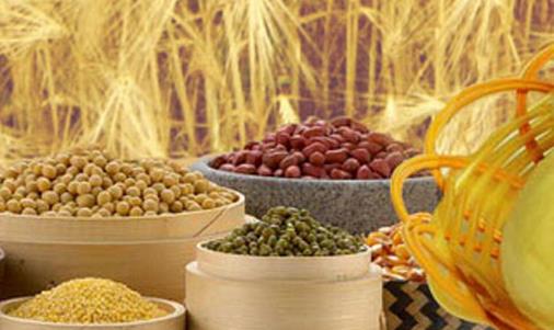 粗糧最佳食用時間 粗糧什么時候吃最好