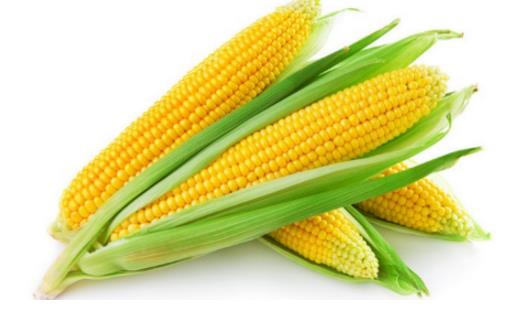 煮玉米什么時候放糖 煮玉米放糖最佳時間