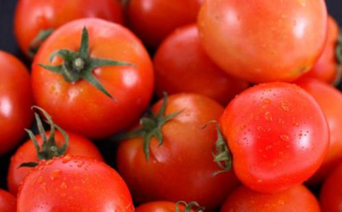早上可以空腹吃西紅柿嗎 西紅柿什么時候吃最好