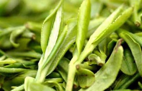 龍井什么時候喝最好 喝龍井的最佳季節