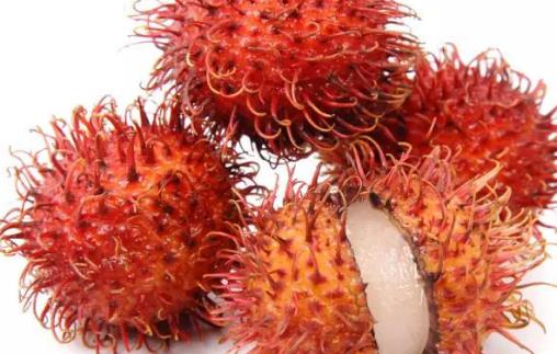 紅毛丹什么時(shí)候成熟 紅毛丹成熟季節(jié)