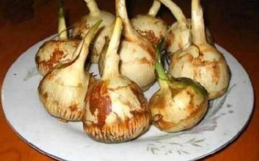 慈姑什么時(shí)候種植?慈姑什么時(shí)候上市