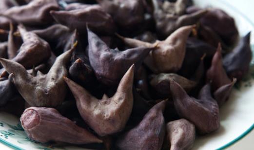 菱角什么時候上市?菱角什么時候成熟