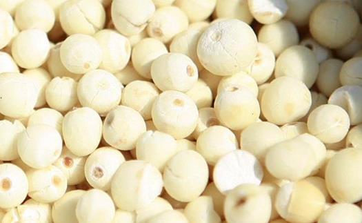 雞頭米什么時(shí)候上市?雞頭米什么時(shí)候最好吃