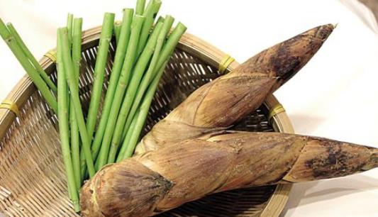 竹筍什么時候有?竹筍什么時候最好吃?