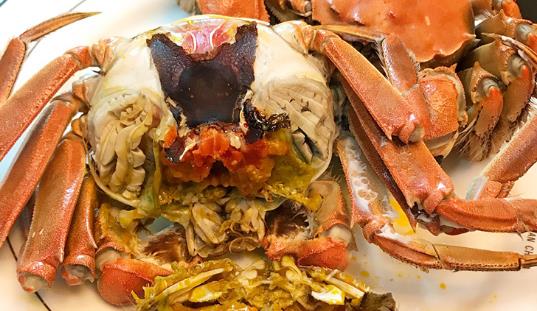 梁子湖大閘蟹什么時候上市?梁子湖大閘蟹幾月份有