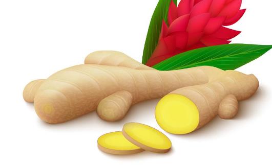 炒菜時什么時候用生姜 炒菜放生姜的時間