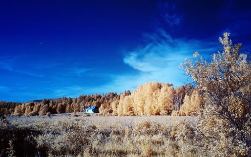 呼倫貝爾什么時候去最好 呼倫貝爾什么季節去最好