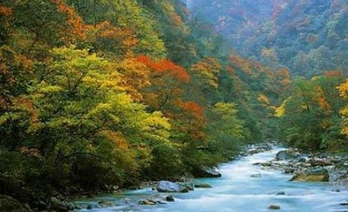 夾金山紅葉節(jié)是什么時(shí)候舉辦 夾金山紅葉節(jié)持續(xù)多長(zhǎng)時(shí)間