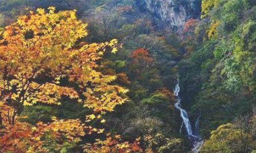 夾金山紅葉節(jié)是什么時(shí)候舉辦 夾金山紅葉節(jié)持續(xù)多長(zhǎng)時(shí)間