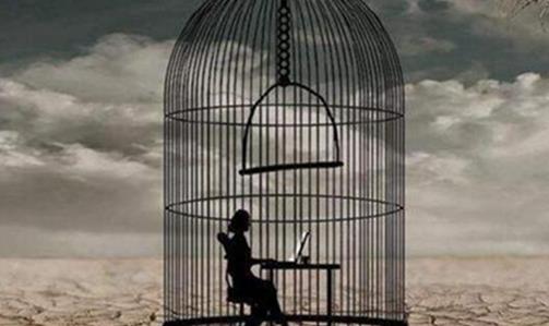 十大著名的心理學流派排行榜,內(nèi)容心理學最出名