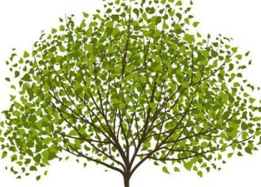 十大著名的心理學流派排行榜,內(nèi)容心理學最出名