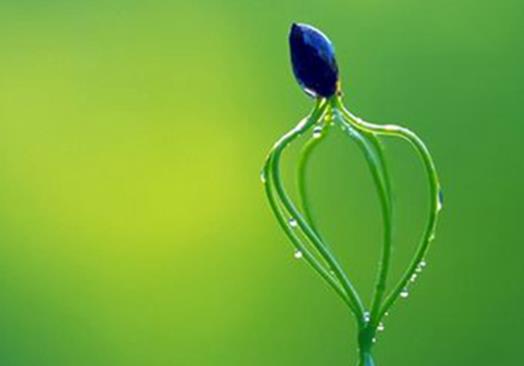 十大著名的心理學流派排行榜,內(nèi)容心理學最出名