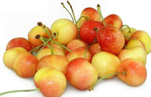 世界十大最甜水果排行榜,臺灣的釋迦果甜到膩,沾化冬棗第二