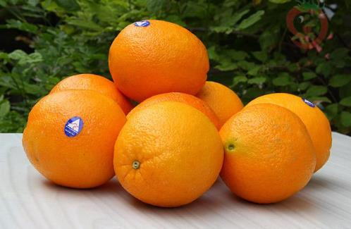 世界十大最甜水果排行榜,臺灣的釋迦果甜到膩,沾化冬棗第二