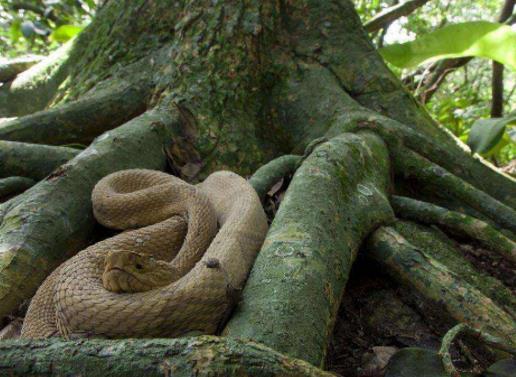 世界十大恐怖之地排行榜,墨西哥娃娃島讓人看了就想逃!