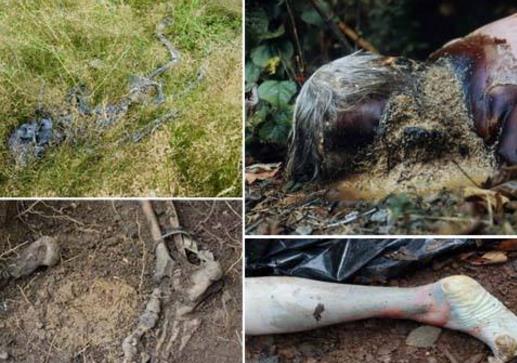 世界十大恐怖之地排行榜,墨西哥娃娃島讓人看了就想逃!