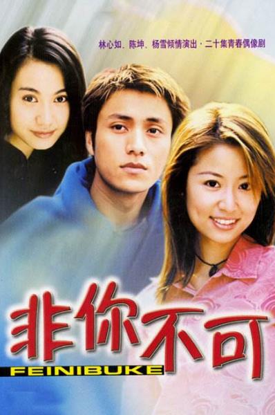 中國十大經典偶像劇排行榜,《將愛情進行到底》是第一步偶像劇